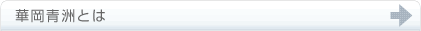 華岡青洲とは