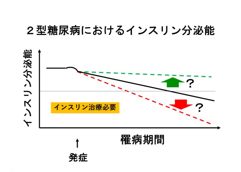 図3: 2型糖尿病における膵β細胞のインスリン分泌能の経年的変化