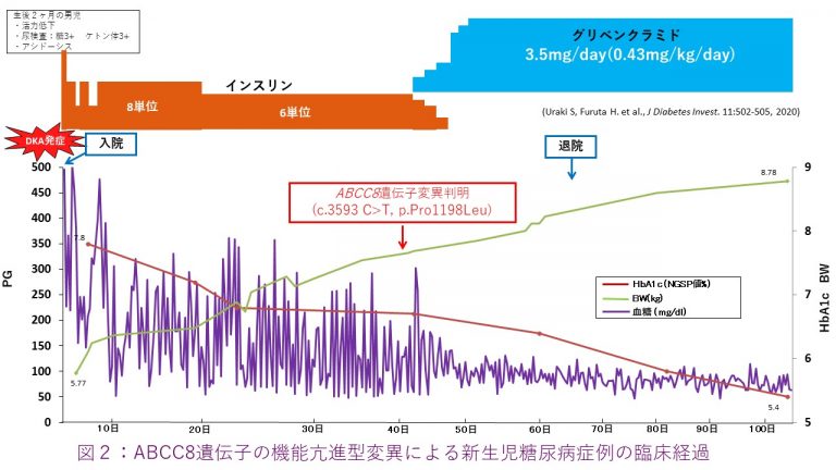 図6: ABCC8遺伝子異常とSU薬治療