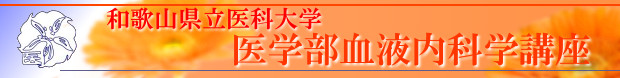 和歌山県立医科大学　血液内科