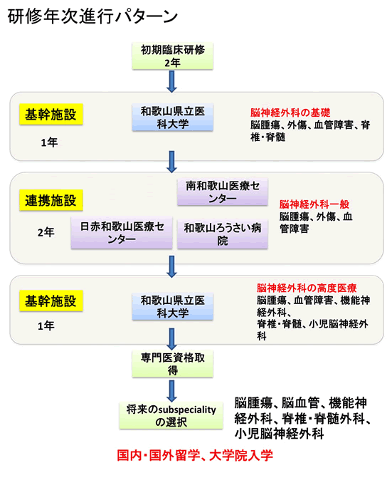 研修年次進行パターン