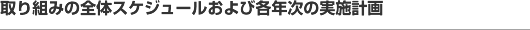 取り組みの全体スケジュールおよび各年次の実施計画