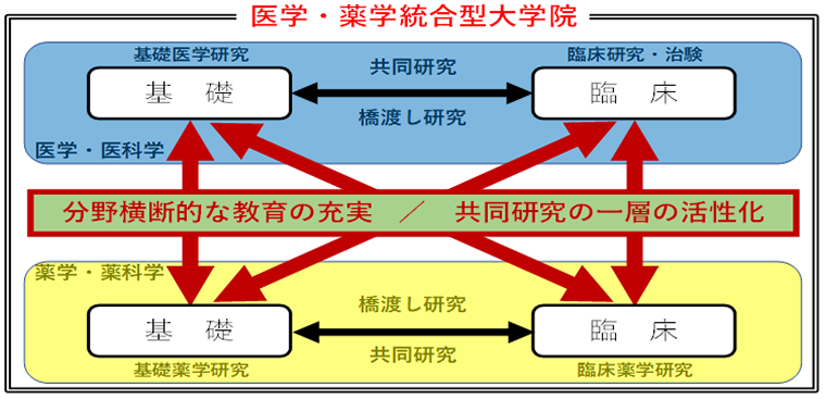 医学・薬学統合型大学院 概要図。分野横断的な教育の充実を図り、共同研究の一層の活性化につなげます。