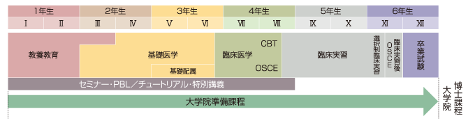 カリキュラム