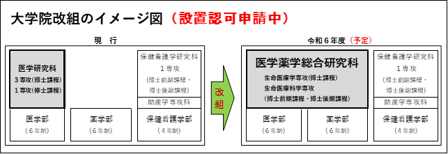 大学院改組のイメージ図（設置認可申請中）