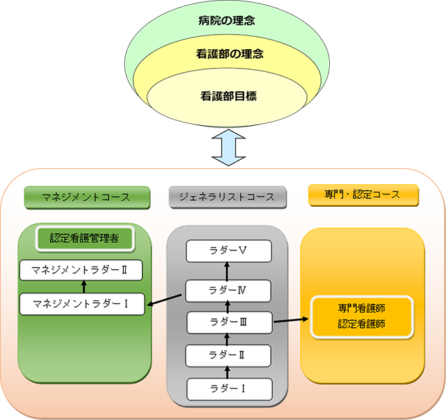 キャリアラダー概念図