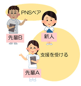 図：新人看護師の位置づけ 5月