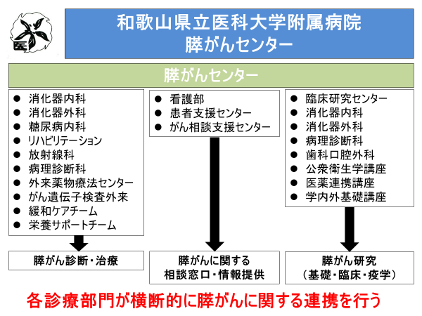 各診療科との連携図:診断や治療、情報提供等、各診療部門が横断的に膵がんに関する連携を行います。