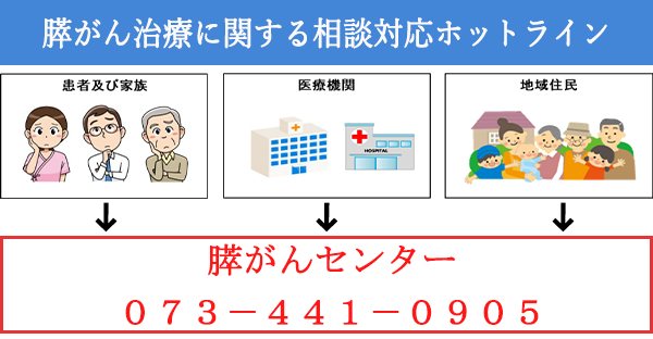 膵がん治療に関する相談対応ホットライン 073-441-0905