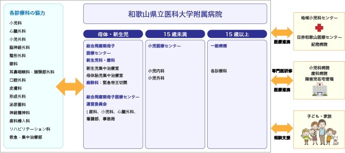 図：小児医療センターの役割。新生児から思春期までの子どもの成長サイクルに応じた最適な医療を提供し、高度先進医療の中核拠点として各地域の拠点病院と連携します。