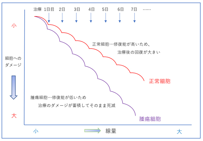 放射線を複数回行う理由