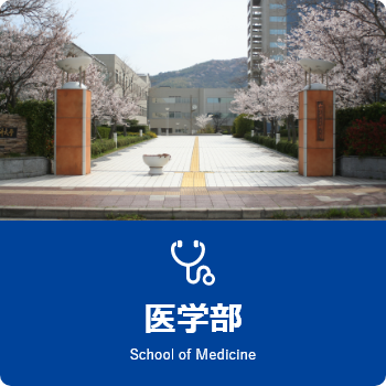 医学部