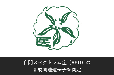自閉スペクトラム症（ASD）の 新規関連遺伝子を同定