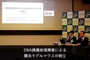 DNA損傷修復障害による 腸炎モデルマウスの樹立