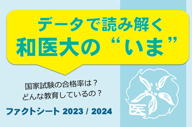 ファクトシート案内