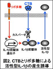 図2