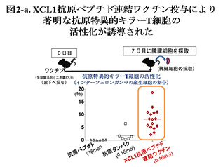 図2-a