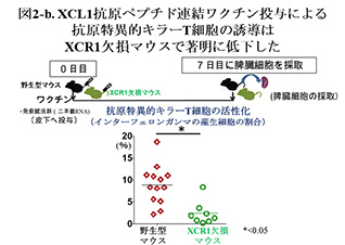 図2-b