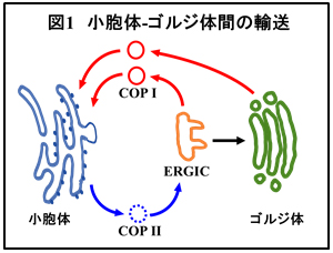 図1