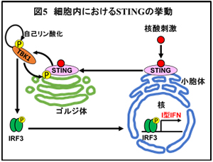 図5