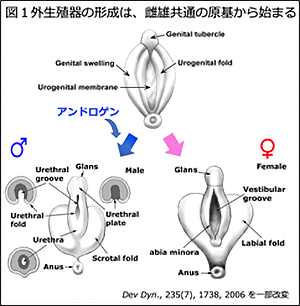 図1