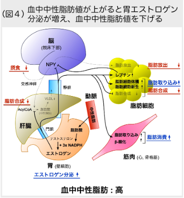 図４