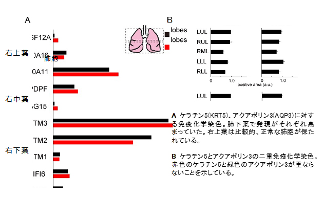 図3