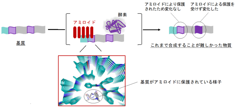 病気の原因物質を有機化学へ応用