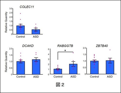 図2：死後脳縫線領域におけるCOLEC11、DCAKD、RABGGTB、ZBTB40遺伝子の発現