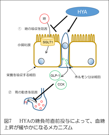 図７