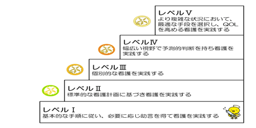 クリニカルラダーレベル図