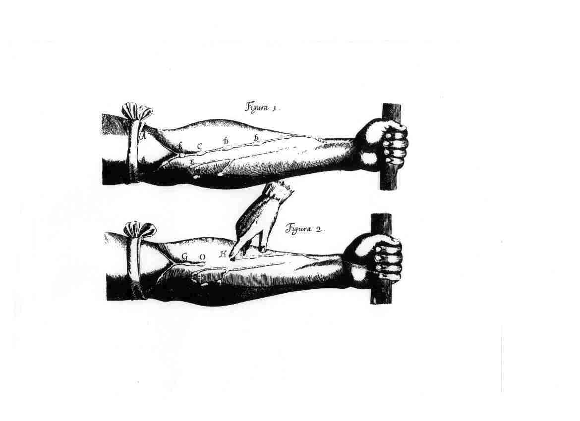 original picture of ligature, No.1&2