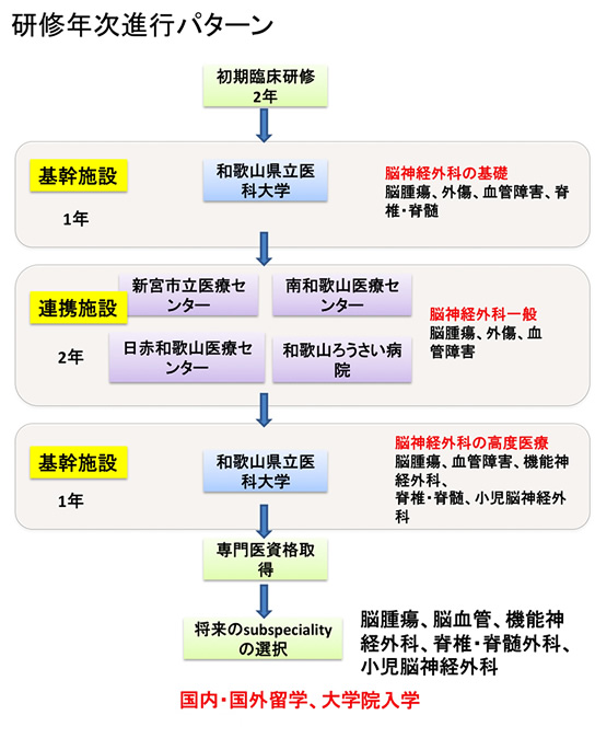 研修年次進行パターン