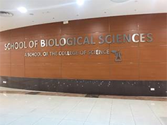 School of Biological Sciences